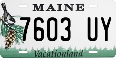 ME license plate 7603UY