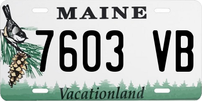 ME license plate 7603VB