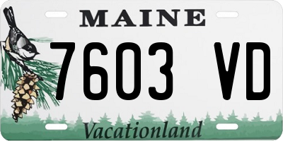 ME license plate 7603VD