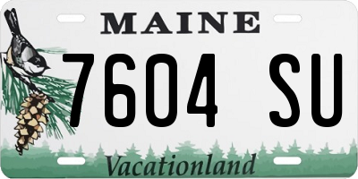 ME license plate 7604SU