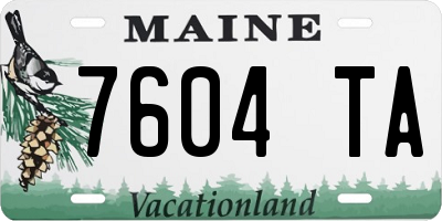 ME license plate 7604TA