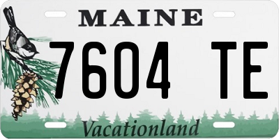 ME license plate 7604TE