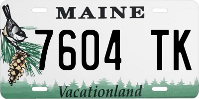 ME license plate 7604TK