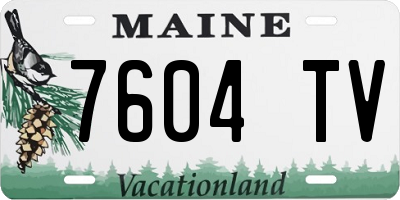 ME license plate 7604TV