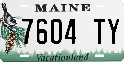 ME license plate 7604TY