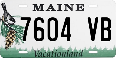 ME license plate 7604VB