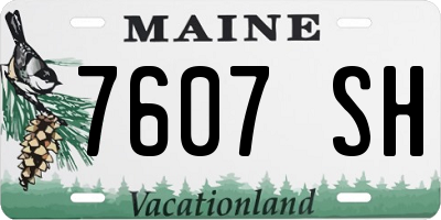 ME license plate 7607SH