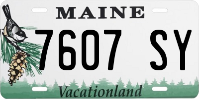 ME license plate 7607SY