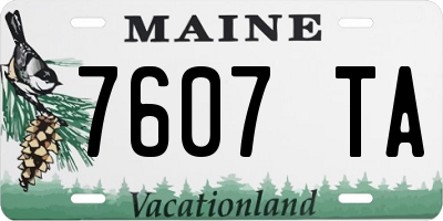 ME license plate 7607TA