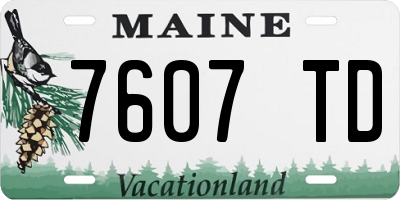 ME license plate 7607TD