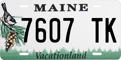 ME license plate 7607TK