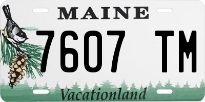 ME license plate 7607TM