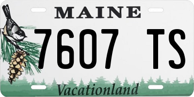 ME license plate 7607TS