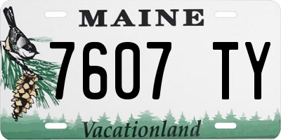 ME license plate 7607TY