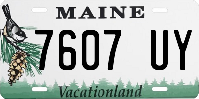 ME license plate 7607UY