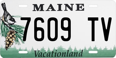 ME license plate 7609TV