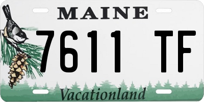 ME license plate 7611TF