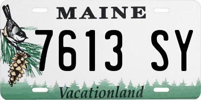ME license plate 7613SY