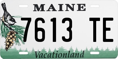 ME license plate 7613TE