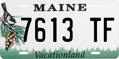 ME license plate 7613TF
