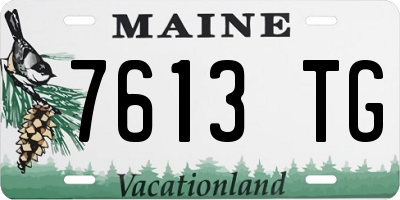 ME license plate 7613TG