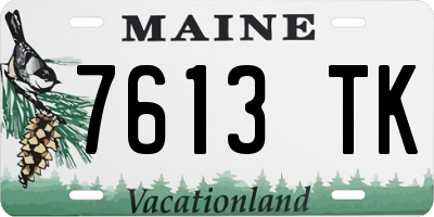 ME license plate 7613TK