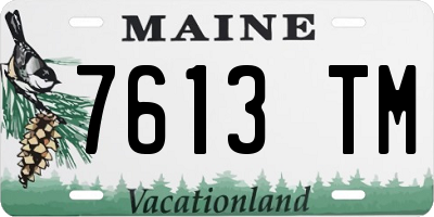 ME license plate 7613TM