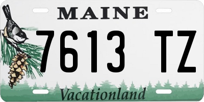 ME license plate 7613TZ