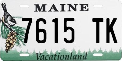 ME license plate 7615TK