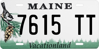 ME license plate 7615TT