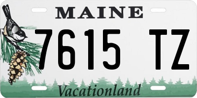 ME license plate 7615TZ