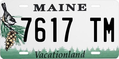 ME license plate 7617TM