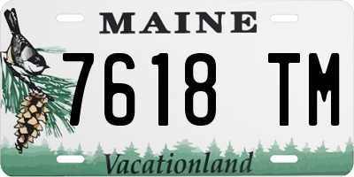 ME license plate 7618TM