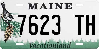 ME license plate 7623TH