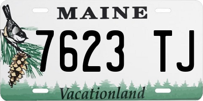 ME license plate 7623TJ
