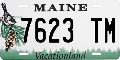 ME license plate 7623TM