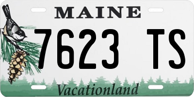 ME license plate 7623TS