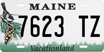 ME license plate 7623TZ