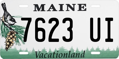 ME license plate 7623UI