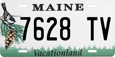 ME license plate 7628TV