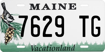 ME license plate 7629TG