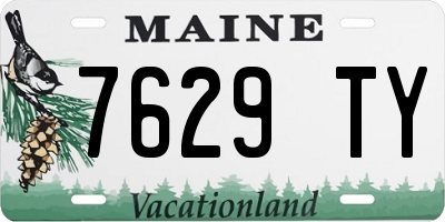 ME license plate 7629TY