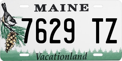 ME license plate 7629TZ