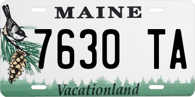 ME license plate 7630TA