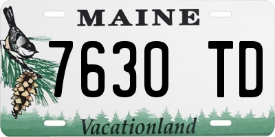 ME license plate 7630TD