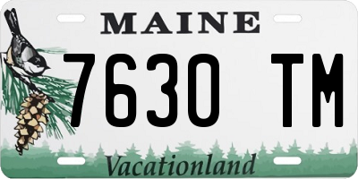 ME license plate 7630TM