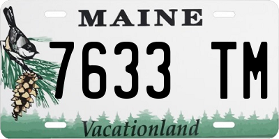 ME license plate 7633TM