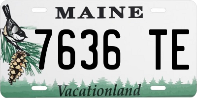 ME license plate 7636TE