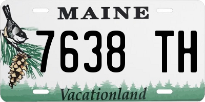 ME license plate 7638TH