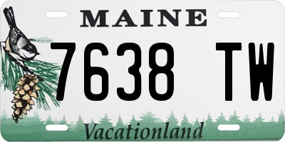 ME license plate 7638TW